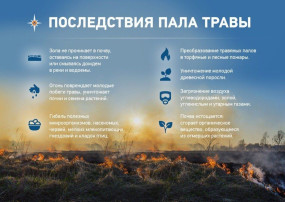Неконтролируемые палы сухой травы опасны! Неконтролируемые палы сухой травы опасны!.