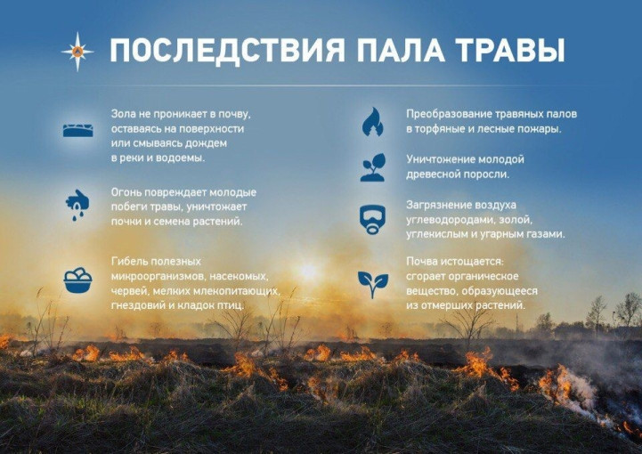 Неконтролируемые палы сухой травы опасны! Неконтролируемые палы сухой травы опасны!.